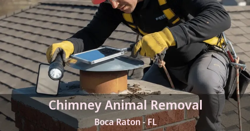 Chimney Animal Removal Boca Raton - FL Chimney Animal Removal Boca Raton - FL