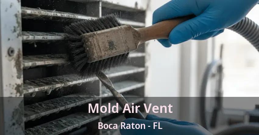 Mold Air Vent Boca Raton - FL