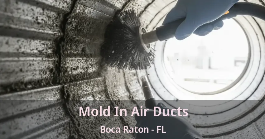 Mold In Air Ducts Boca Raton - FL