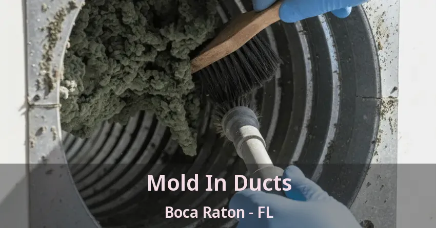 Mold In Ducts Boca Raton - FL