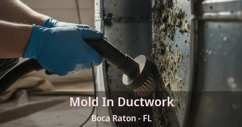 Mold In Ductwork Boca Raton - FL Mold In Ductwork Boca Raton - FL