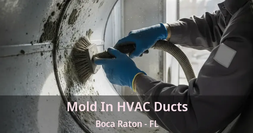 Mold In HVAC Ducts Boca Raton - FL